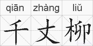 千丈柳的拼音