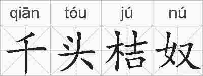 千头桔奴的拼音
