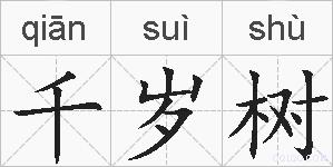 千岁树的拼音