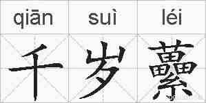 千岁虆的拼音