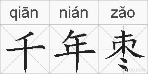 千年枣的拼音