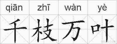 千枝万叶的拼音