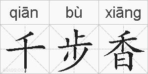 千步香的拼音