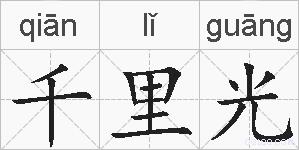 千里光的拼音