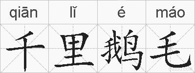 千里鹅毛的拼音