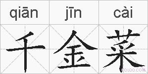 千金菜的拼音