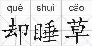 却睡草的拼音