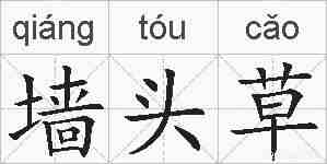 墙头草的拼音