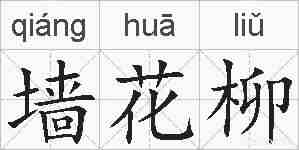 墙花柳的拼音