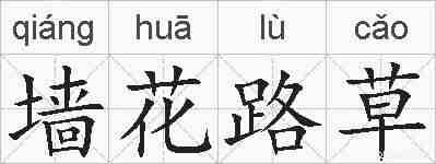 墙花路草的拼音
