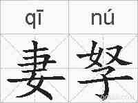 妻孥的拼音