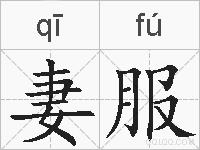 妻服的拼音