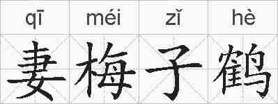 妻梅子鹤的拼音