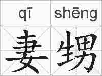 妻甥的拼音