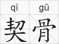 契骨的拼音