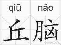 丘脑的拼音