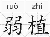 弱植的拼音
