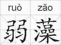 弱藻的拼音
