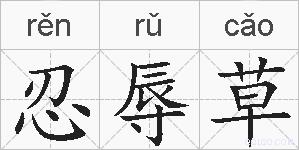忍辱草的拼音