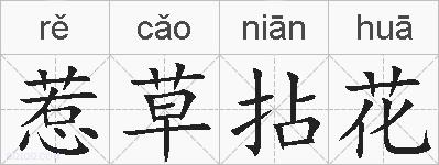 惹草拈花的拼音