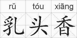 乳头香的拼音