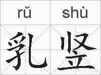乳竖的拼音