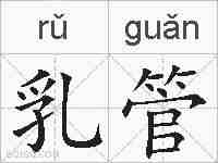 乳管的拼音