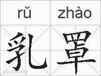 乳罩的拼音