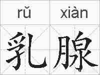 乳腺的拼音