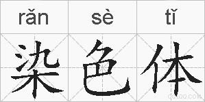 染色体的拼音