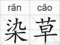 染草的拼音
