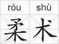 柔术的拼音