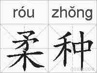 柔种的拼音