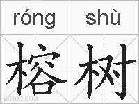 榕树的拼音