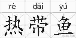 热带鱼的拼音