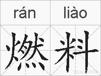 燃料的拼音