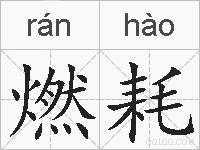 燃耗的拼音