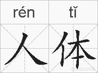 人体的拼音