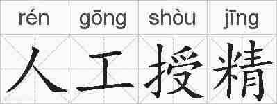 人工授精的拼音