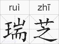 瑞芝的拼音