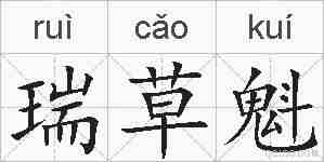 瑞草魁的拼音