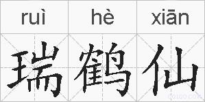 瑞鹤仙的拼音