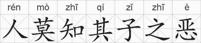 人莫知其子之恶的拼音