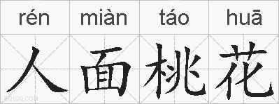 人面桃花的拼音