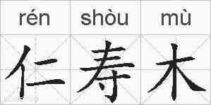 仁寿木的拼音