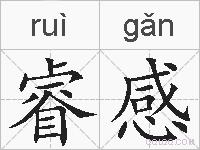 睿感的拼音