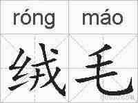 绒毛的拼音