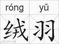 绒羽的拼音