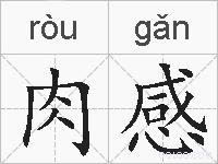 肉感的拼音