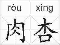 肉杏的拼音